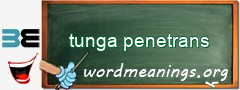 WordMeaning blackboard for tunga penetrans